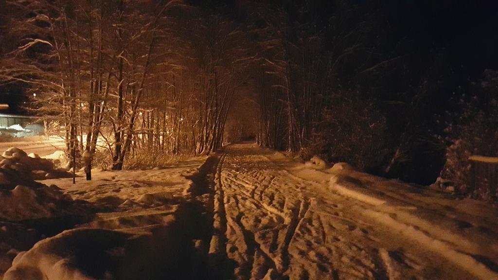 Ferienhaus Gundi Pettneu am Arlberg Exteriör bild